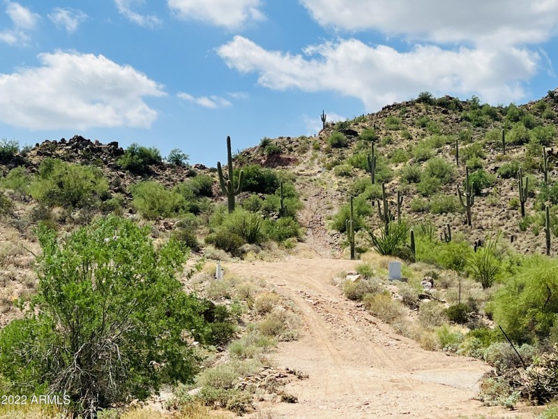 25D05DF1-AF5B-41C6-AD08-F726E82493EA