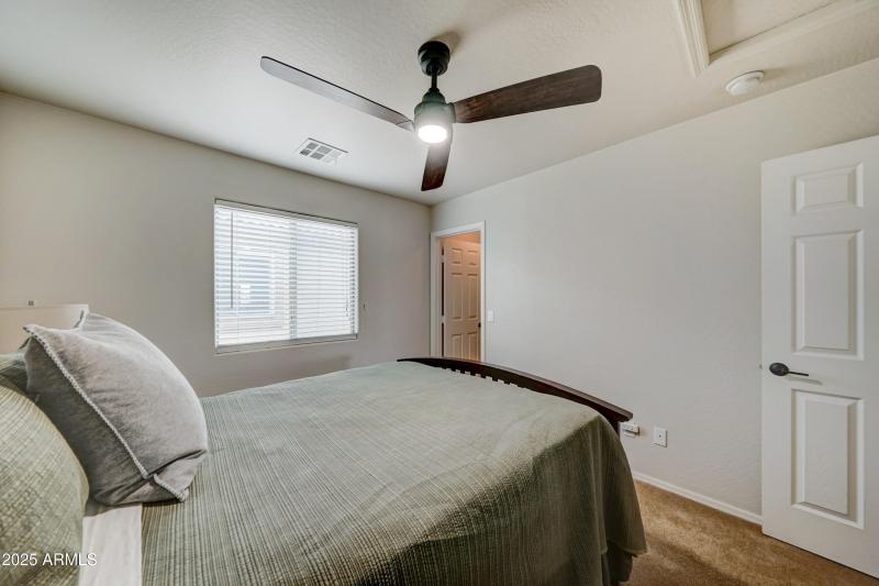 29293 N Yellow Bee-25