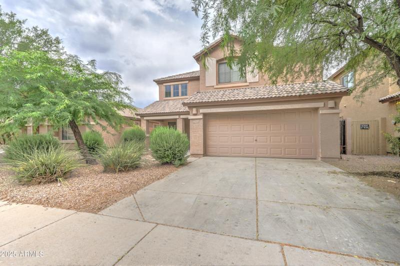 29293 N Yellow Bee-3