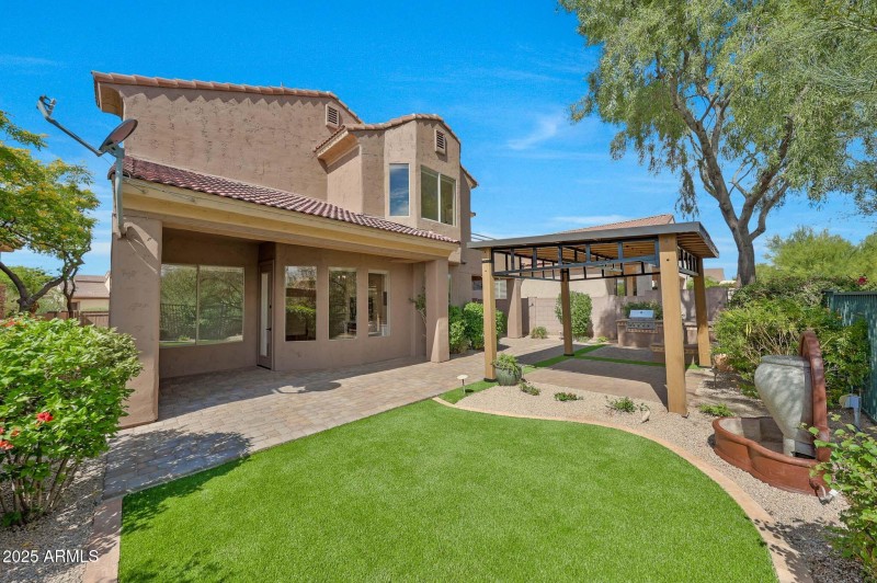 Backyard Looking Back