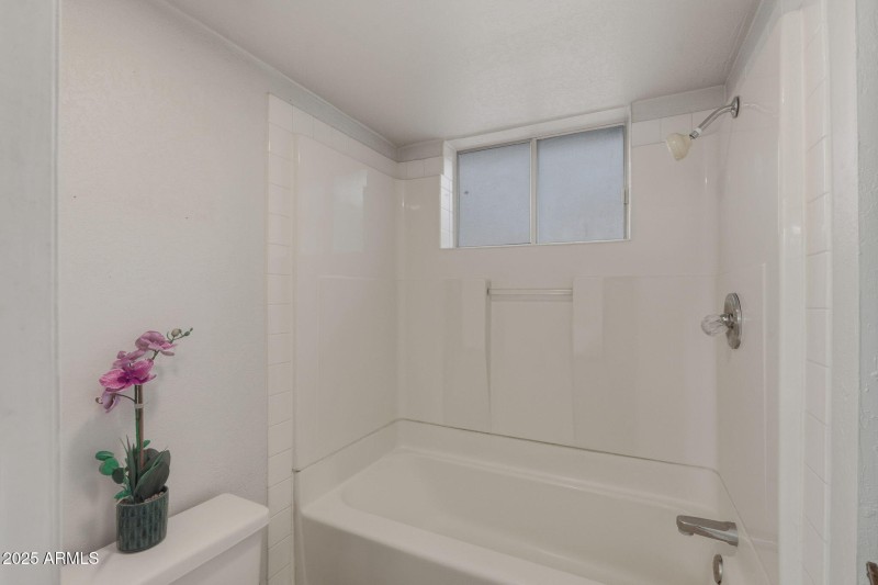 28-web-or-mls-Wood-28