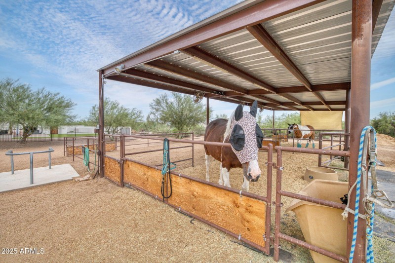 5526 E Skinner Dr Cave Creek - 201_2