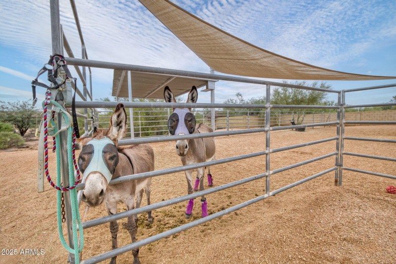 5526 E Skinner Dr Cave Creek - 200_1