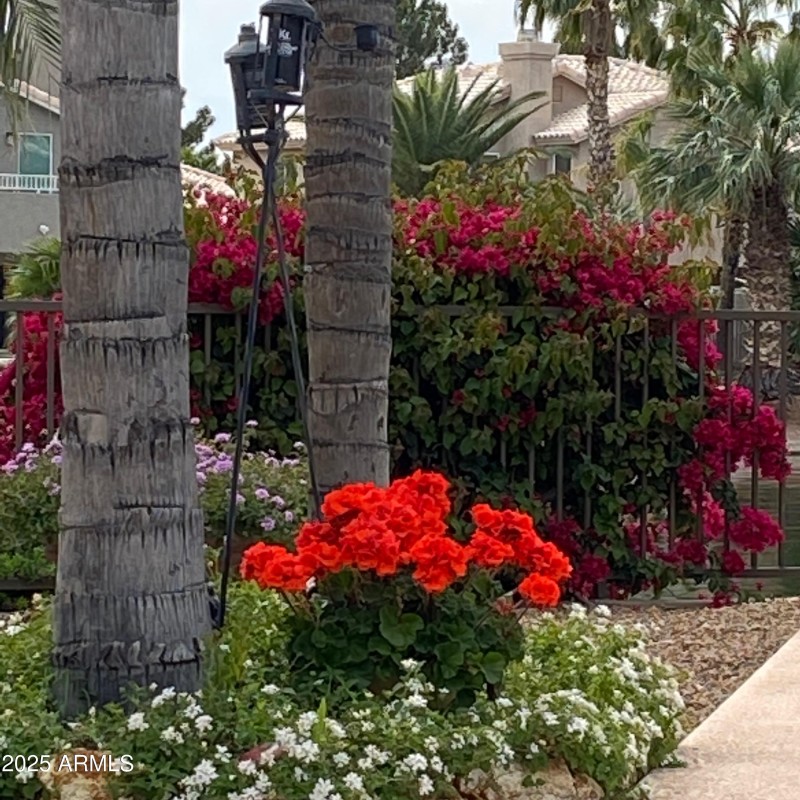 FullSizeRender-preview 2