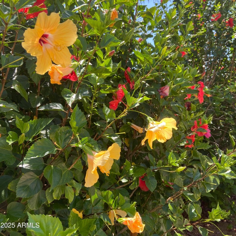 FullSizeRender-preview