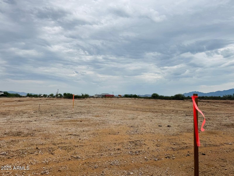 407e1977-a2f1-4386-93a4-f6917b879b9b