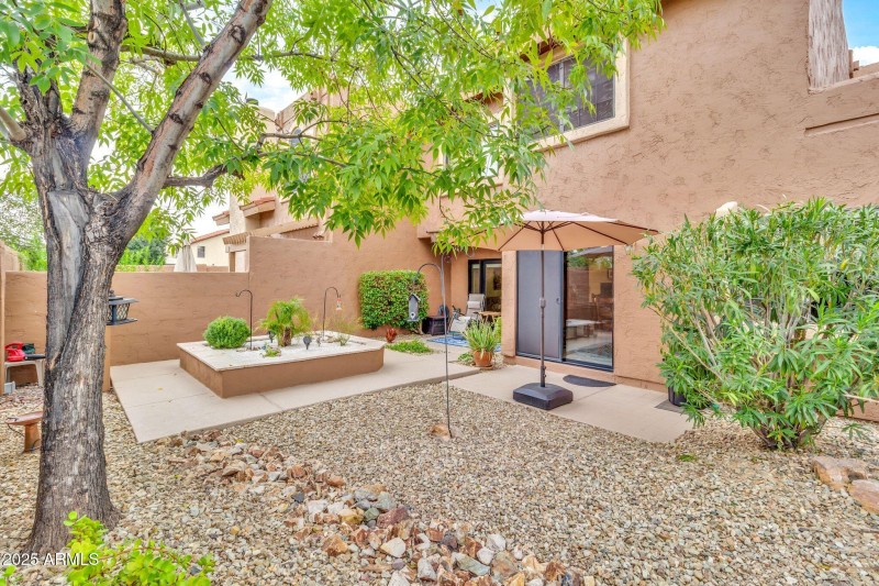 Spacious Fenced in backyard