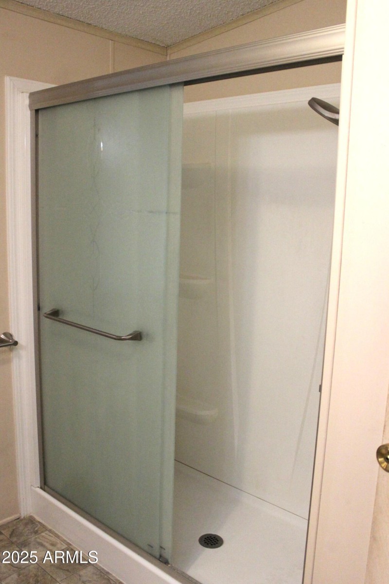Primary walk-in shower