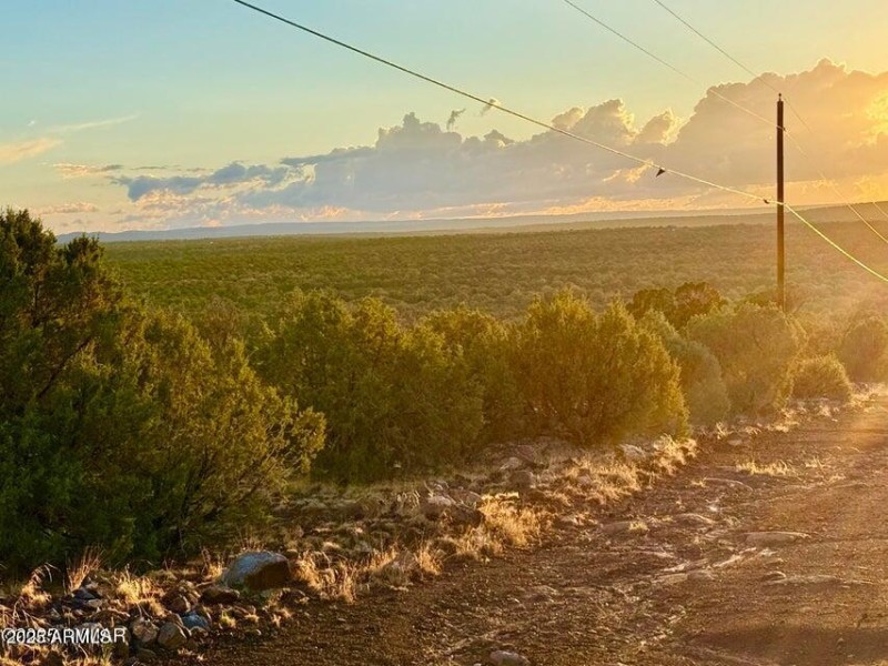 20250924032825957931000000-o (1)