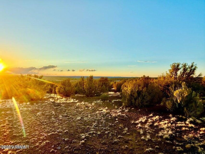 20250924032524648116000000-o (1)