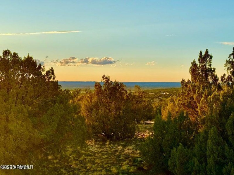 20250924032547606759000000-o (1)