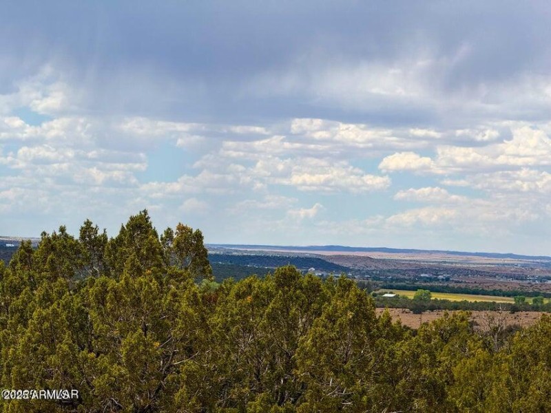 20250829012340329391000000-o (3)