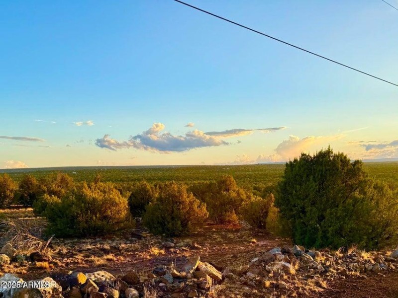 20250924032722764760000000-o (1)