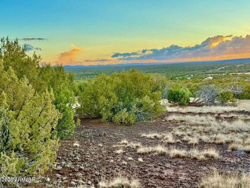 20250924025314605263000000-o (1)