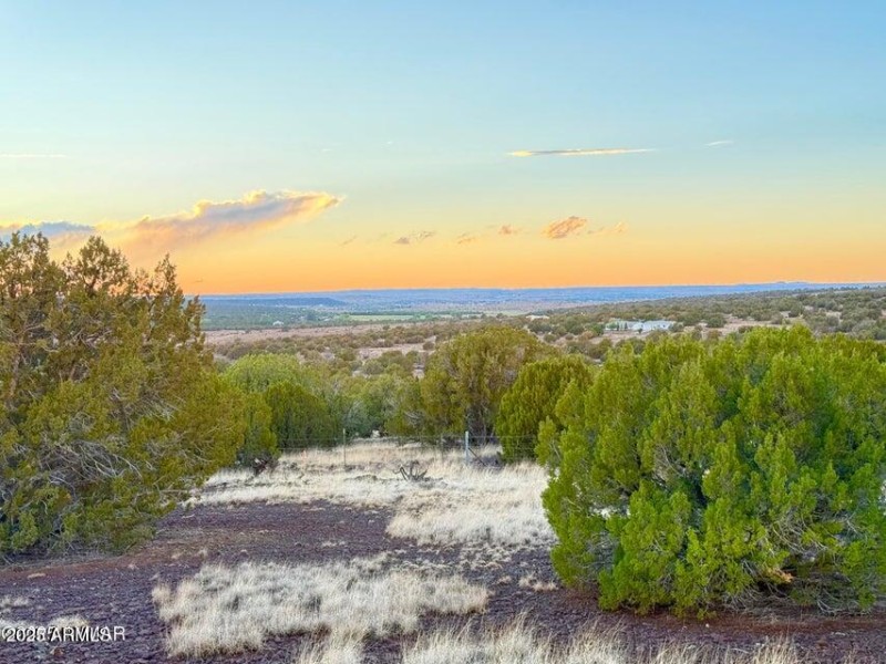 20250924022955553787000000-o (1)