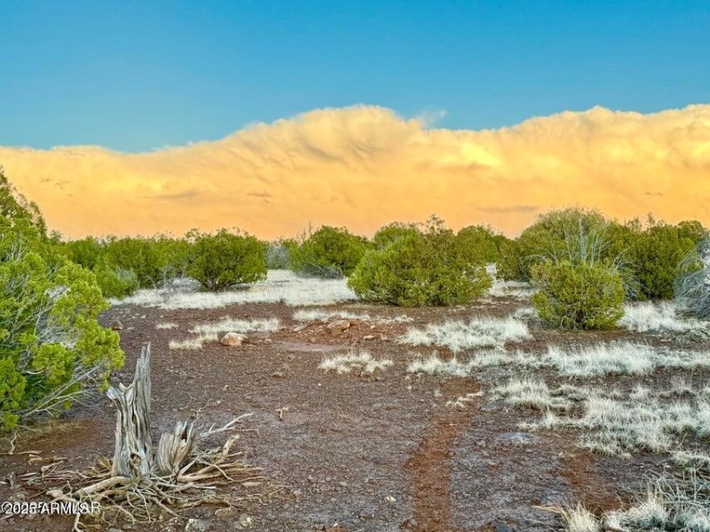 20250924023017238709000000-o (1)