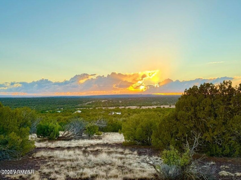 20250924023144701885000000-o (1)