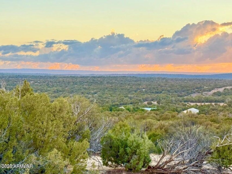 20250924025740161902000000-o (1)