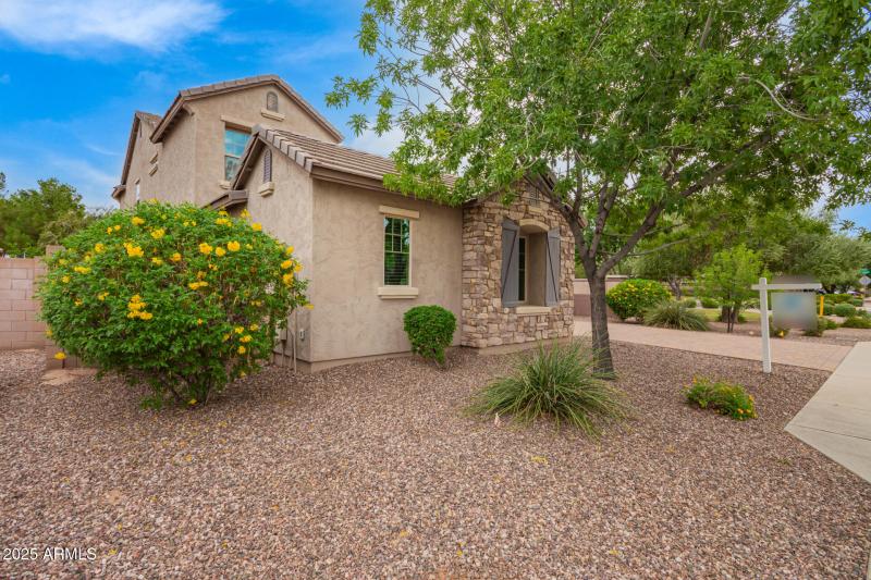 Greenbelt Views No Rear Neighbor