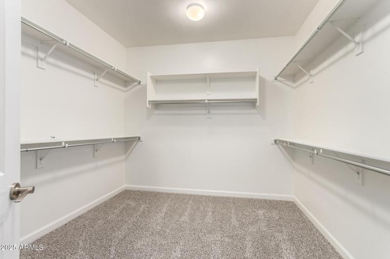 3925 S Garrison Walk-in closet