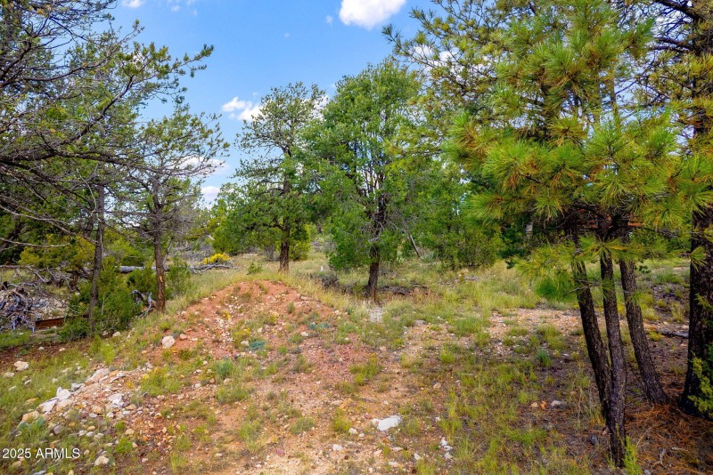 1909EChevelonRd-HeberOvergaard-AZ-15