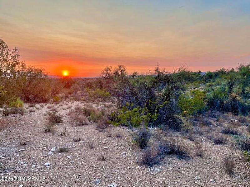 20250721212317816700000000-o