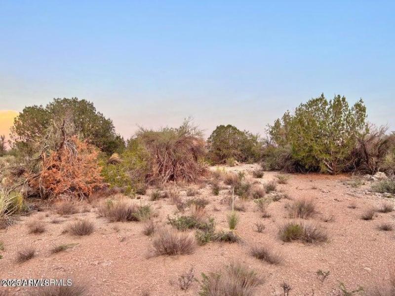 20250721212327582377000000-o