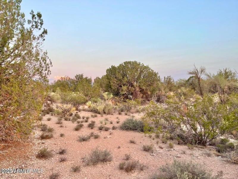 20250721212330794182000000-o