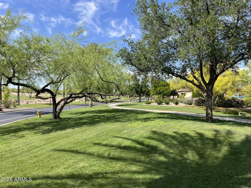 Trilogy Walking Paths