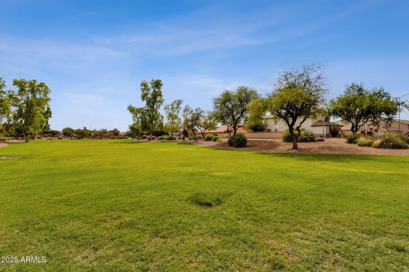 Huge Community Greenbelt... Frisbee anyo