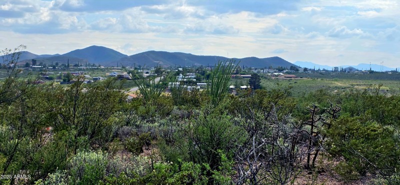 TBD North Rosa Court