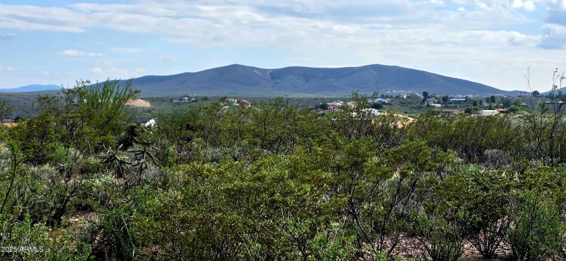 TBD North Rosa Court