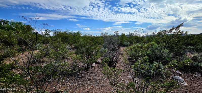 TBD North Rosa Court