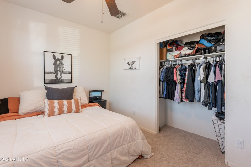 24-print-Grenadine-24