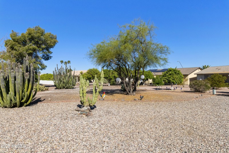 Low Maintenance Yard