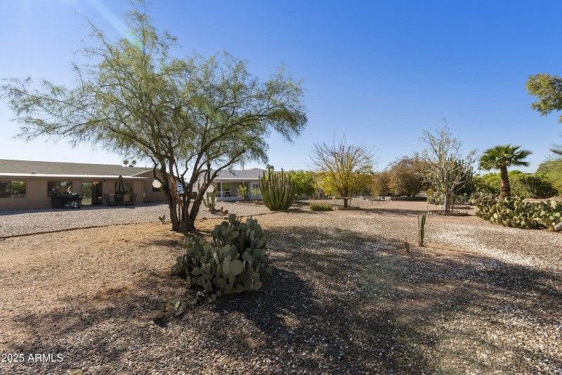 Looking Back at Home