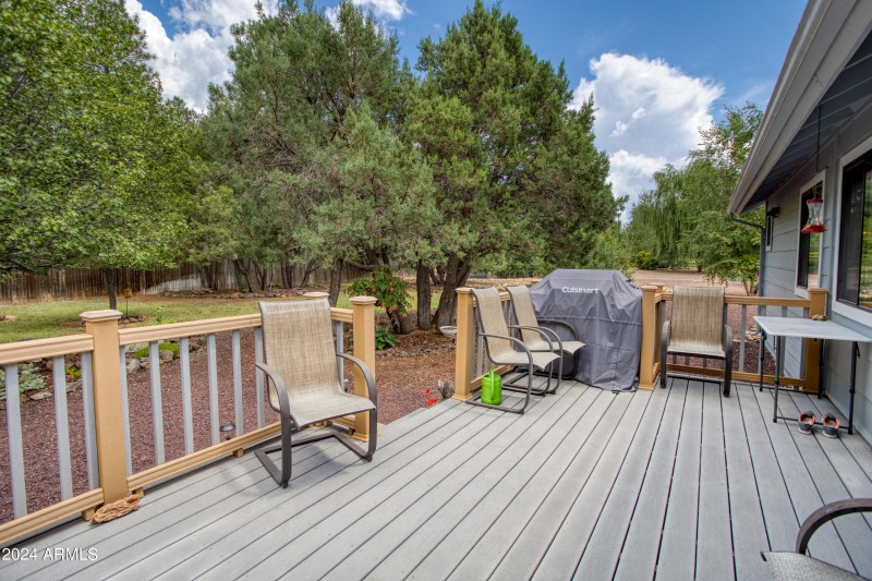 Large Back Deck