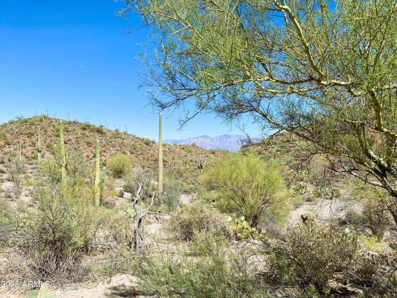 Watson Avenida Dos Vista Picture 4