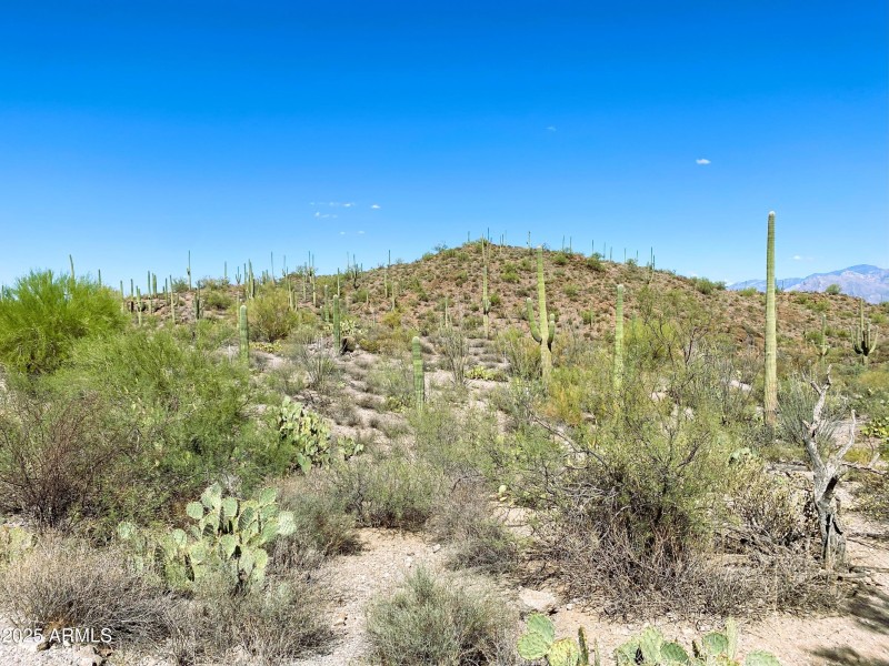 Watson Avenida Dos Vista Picture 5