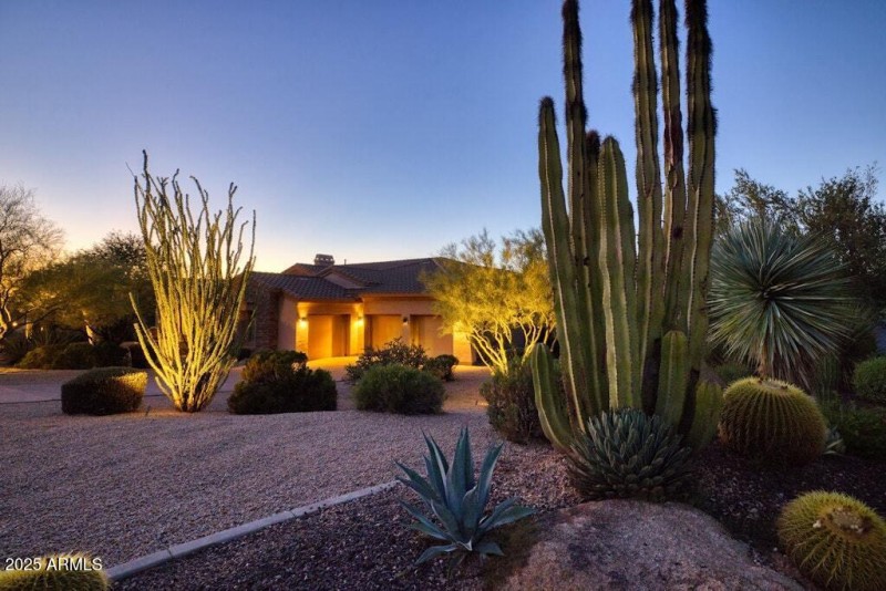 Natural Front Yard Vegitation