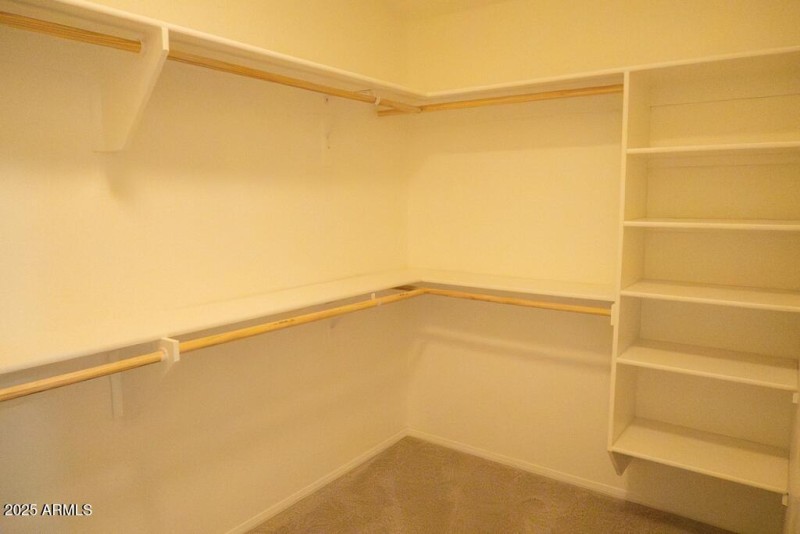 IMG_9390-Enhanced-NR