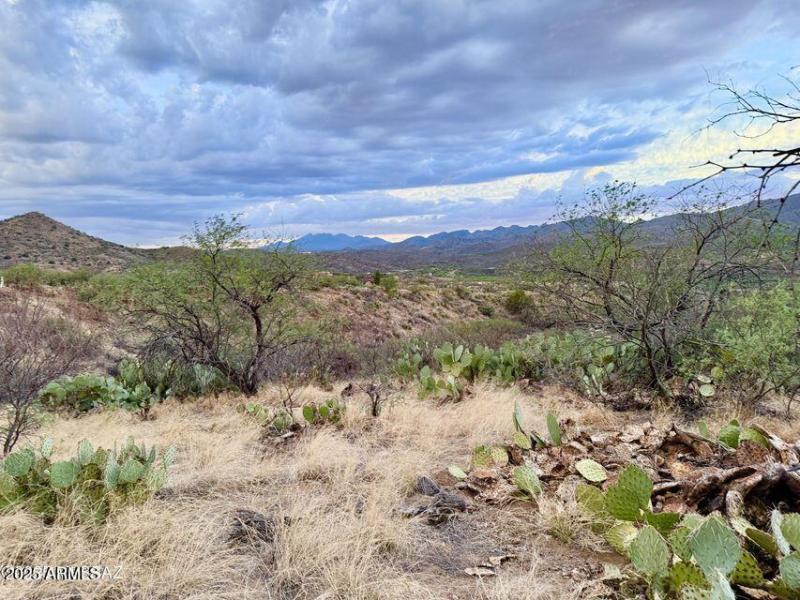 20250720080856428705000000-o (1)