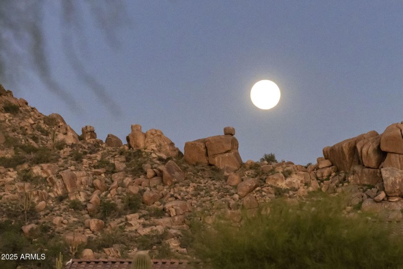 80-web-or-mls-D46A2286