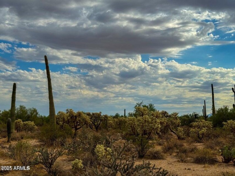 20251009155652160248000000-o (1)