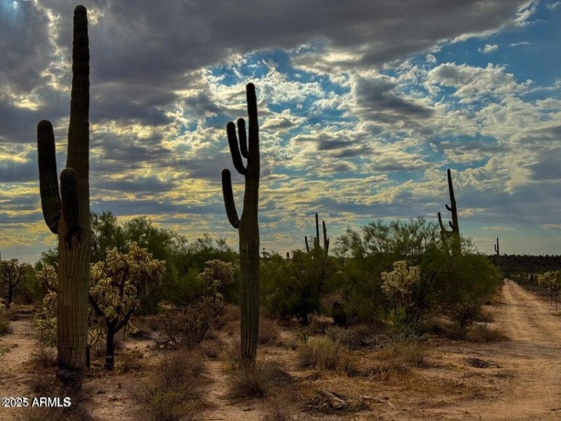 20251009155650767127000000-o (1)