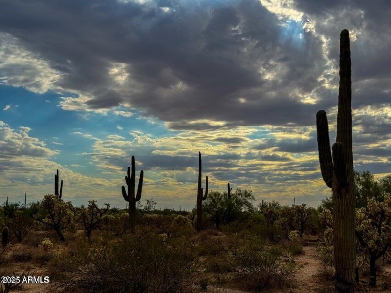 20251009155649467235000000-o (1)