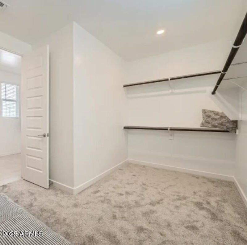 Owners Walk in Closet