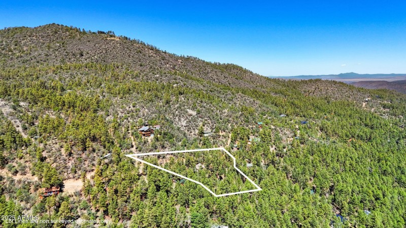 41-Aerial_1 Lot Lines