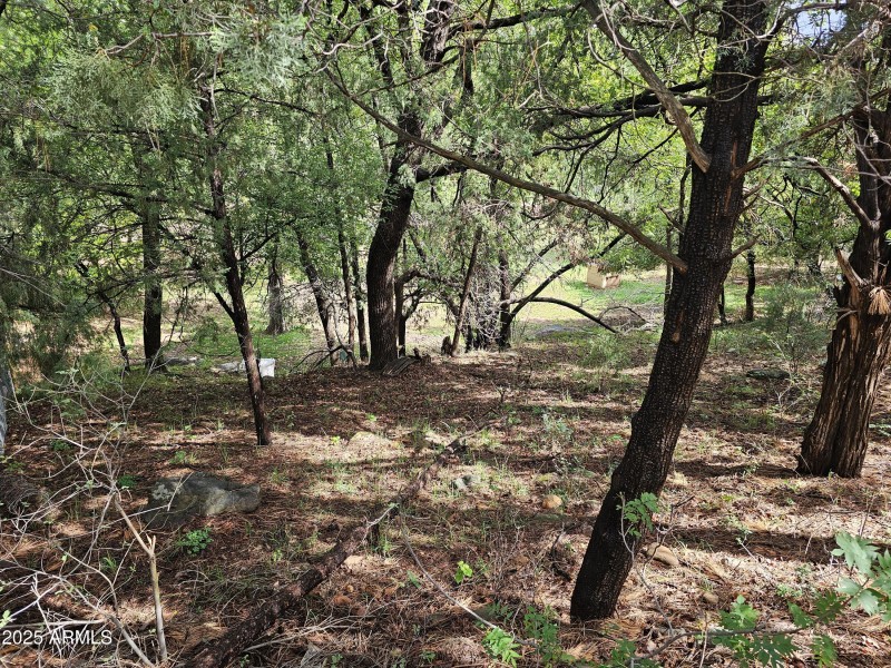 Whispering Pines Land