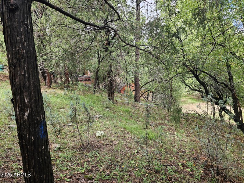 Whispering Pines Land